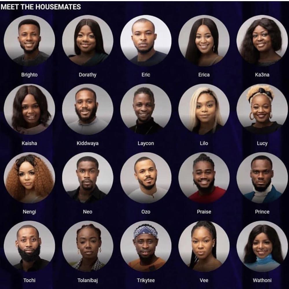 Video: How the BBNaija Lockdown Housemates voted
